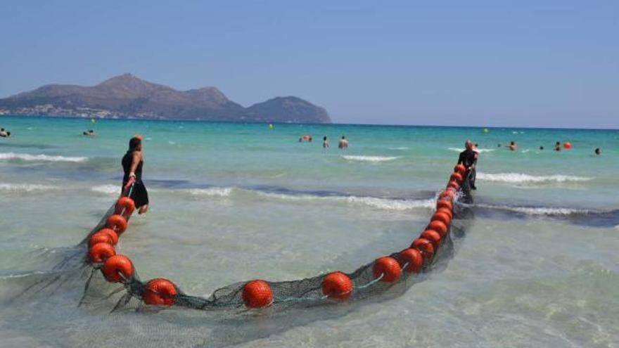 Diese Barriere soll die Playa de Muro vor Quallen schützen.