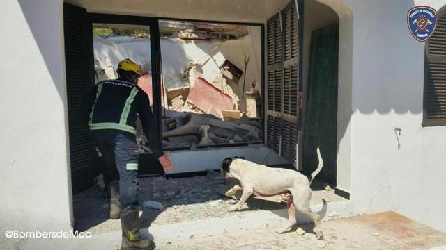 Un bombero y un perro rastrean la vivienda