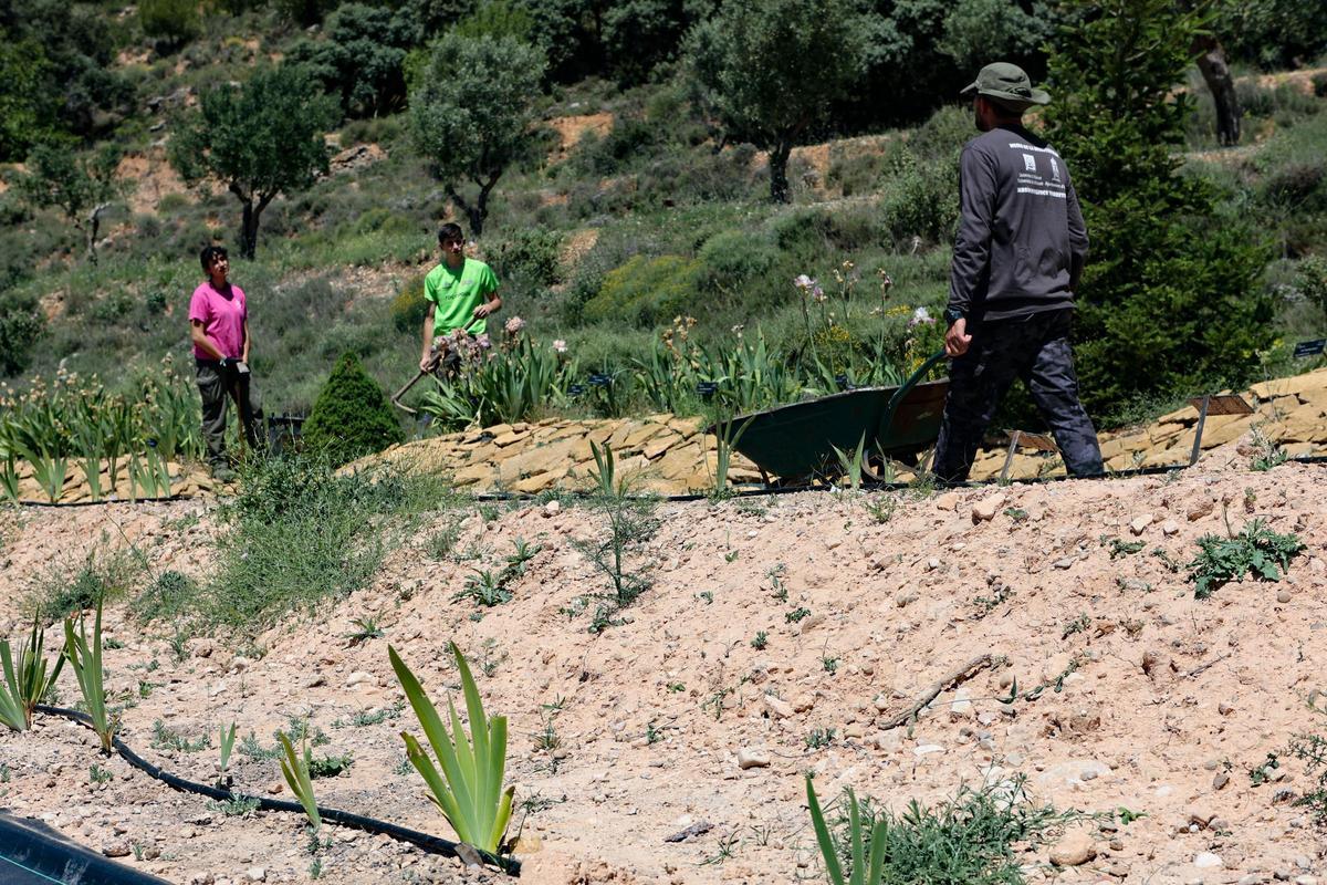 Trabajos de plantación en la estación biológica de Torretes.