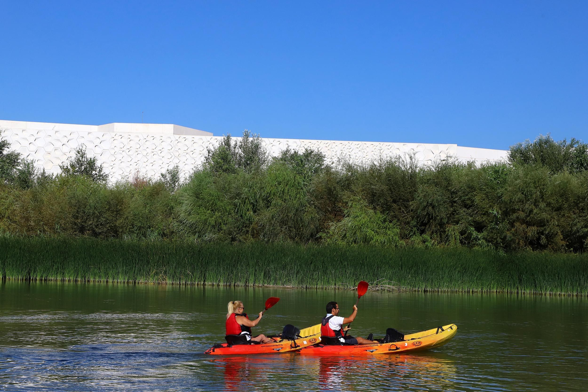 Paseos en kayak por el róio Guadalquivir