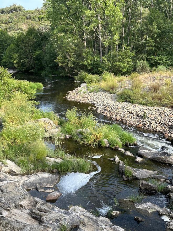 Fotogalería | Nuevos vertidos afectan al río Hurdano en Arrolobonos