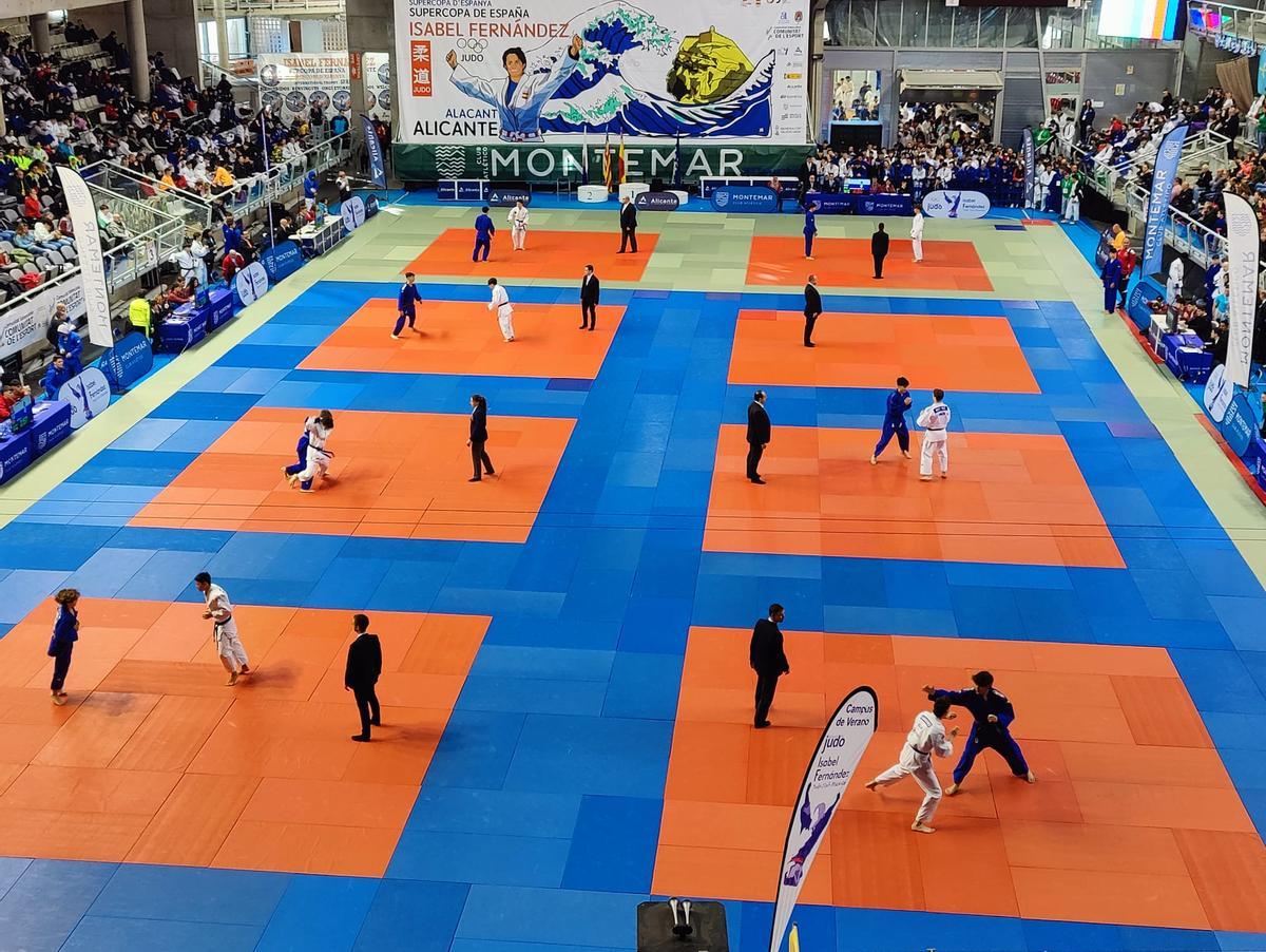El tatami alicantino fue el escenario de las competiciones nacional que, además, certificaron las clasificaciones para el próximo Campeonato de España.