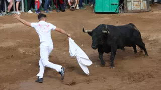 Programa oficial de las fiestas del Roser de Almassora: todos los actos