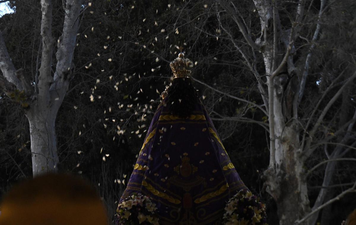 Romería de bajada de la Virgen de la Fuensanta
