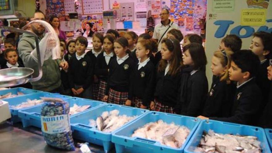 Los escolares de Novelda aprenden a comer sano