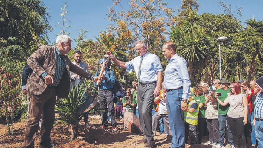 El alcalde de Adeje y el abogado y activista medioambiental Robert Kennedy plantan un drago en el Parque Central del municipio.