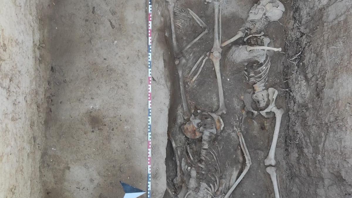 Esqueletos hallados en el interior de la fosa 20 del cementerio de Alicante.