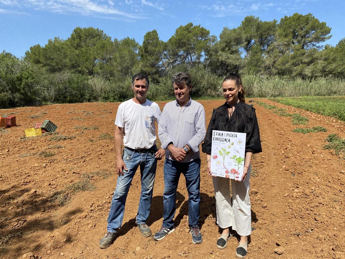 Galería: Así ha sido la presentación de la campaña de la 'patata vermella eivissenca' en Es Figueral Galería: Así ha sido la presentación de la campaña de la 'patata vermella eivissenca' en Es Figueral