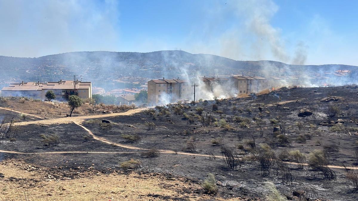 Vista de la zona quemada por un nuevo fuego de pasto en Plasencia.