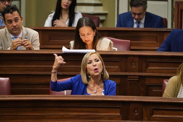 Pleno del Parlamento de Canarias 12.07.2022