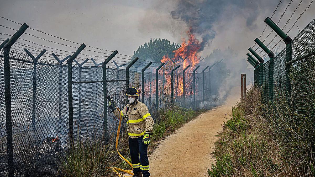 L’incendi d’ahir a l’àrea de la Ricarda, a prop de l’aeroport del Prat.  | MANU MITRU