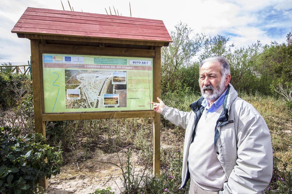 Plan de choque para limpiar el soto de la margen del Segura en Almoradí