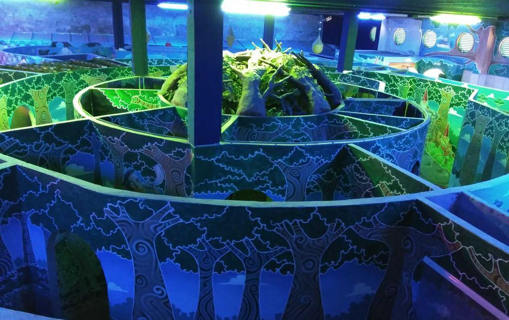 Gran Laberinto del Monte Igueldo