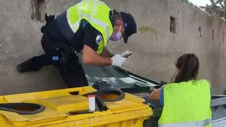 La Policía Local de Telde halla seis perros muertos en un contenedor de residuos y busca a los culpables