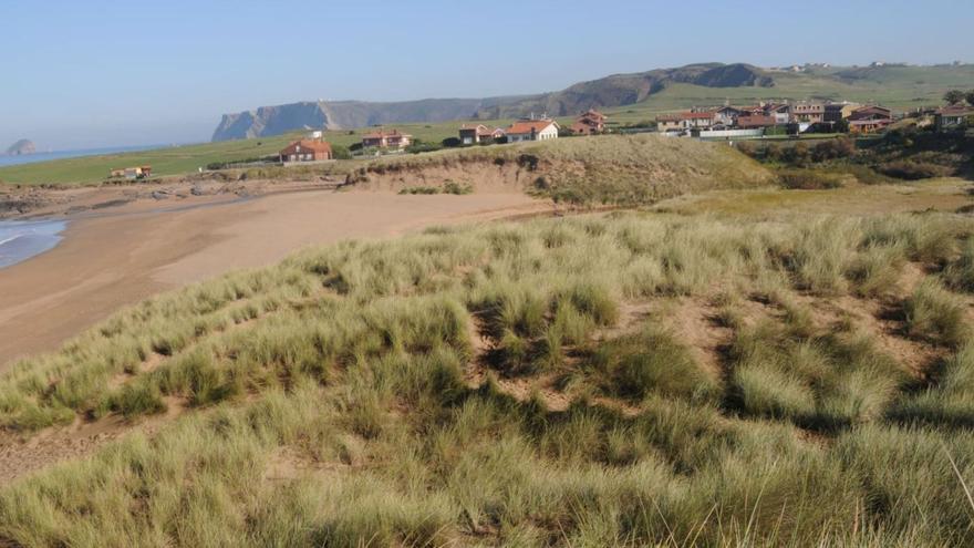 Vista de la playa de Tenrero con el sistema dunar en primer término.  | C. E.