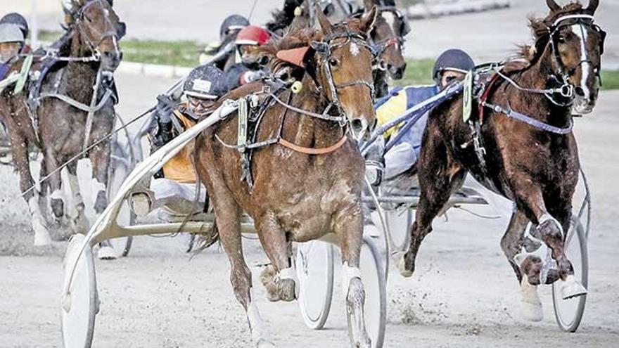 Toni Frontera celebra en los últimos metros de la carrera el triunfo de Bamba du Ponthieu.