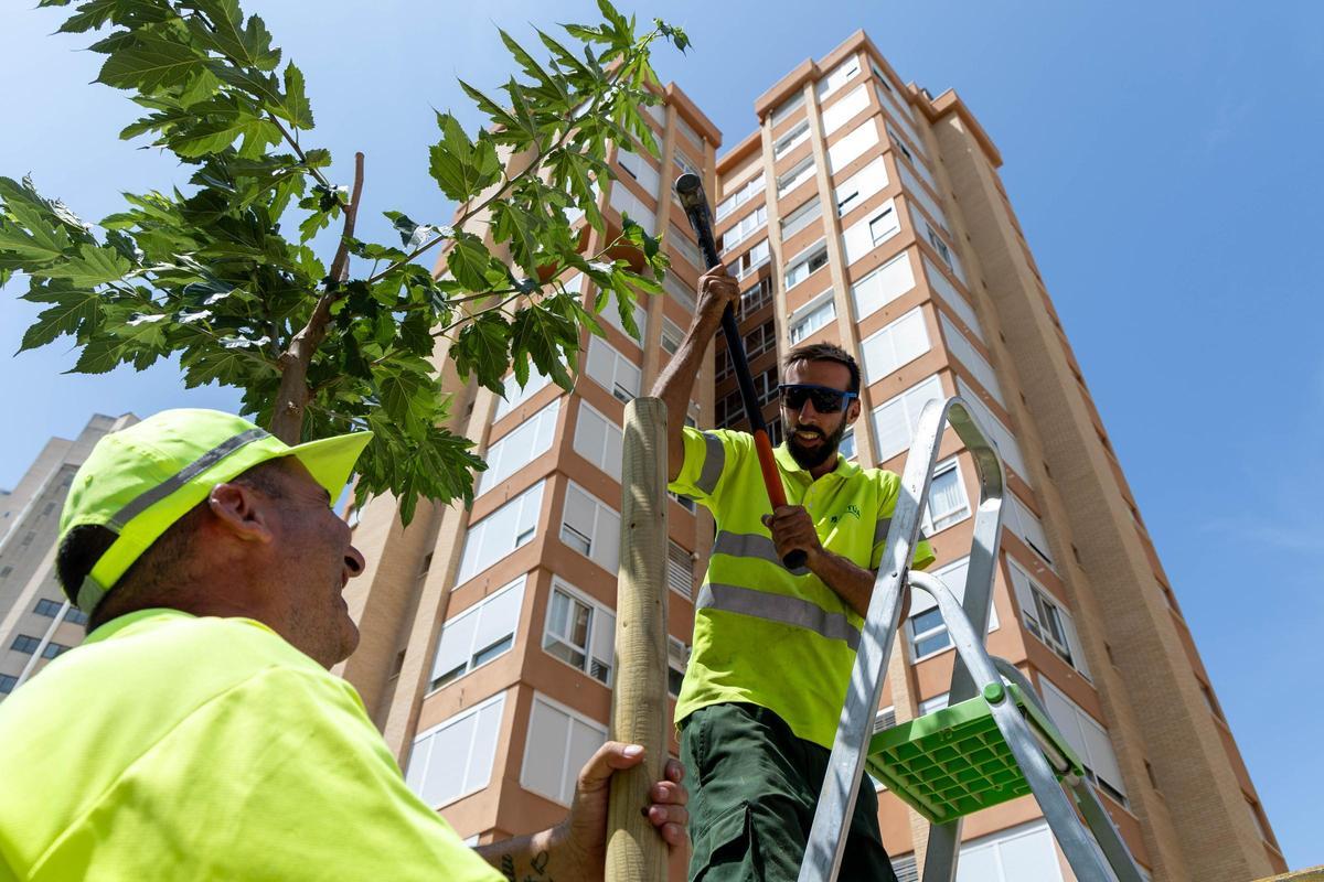 Los ayuntamientos de la provincia se parapetan contra el cambio climático