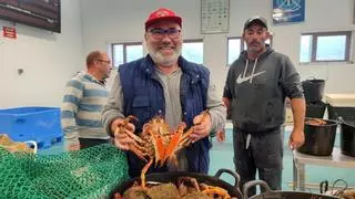 Cangas bate récords de centolla con más de 1.000 kilos en la primera subasta de la campaña