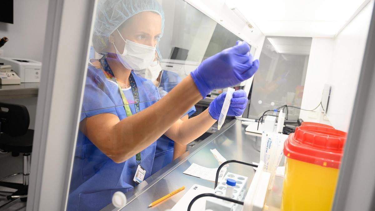 Cuarenta pacientes han sido seleccionados para la investigación.