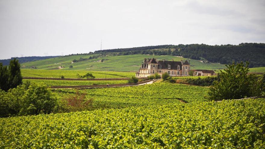 VIATGES | Les vinyes franceses més acollidores