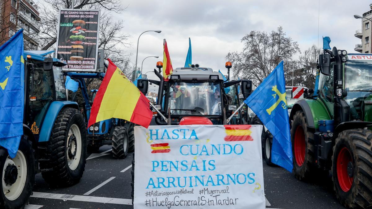 Banderas de Asturias durante la concentración ganadera en Madrid.