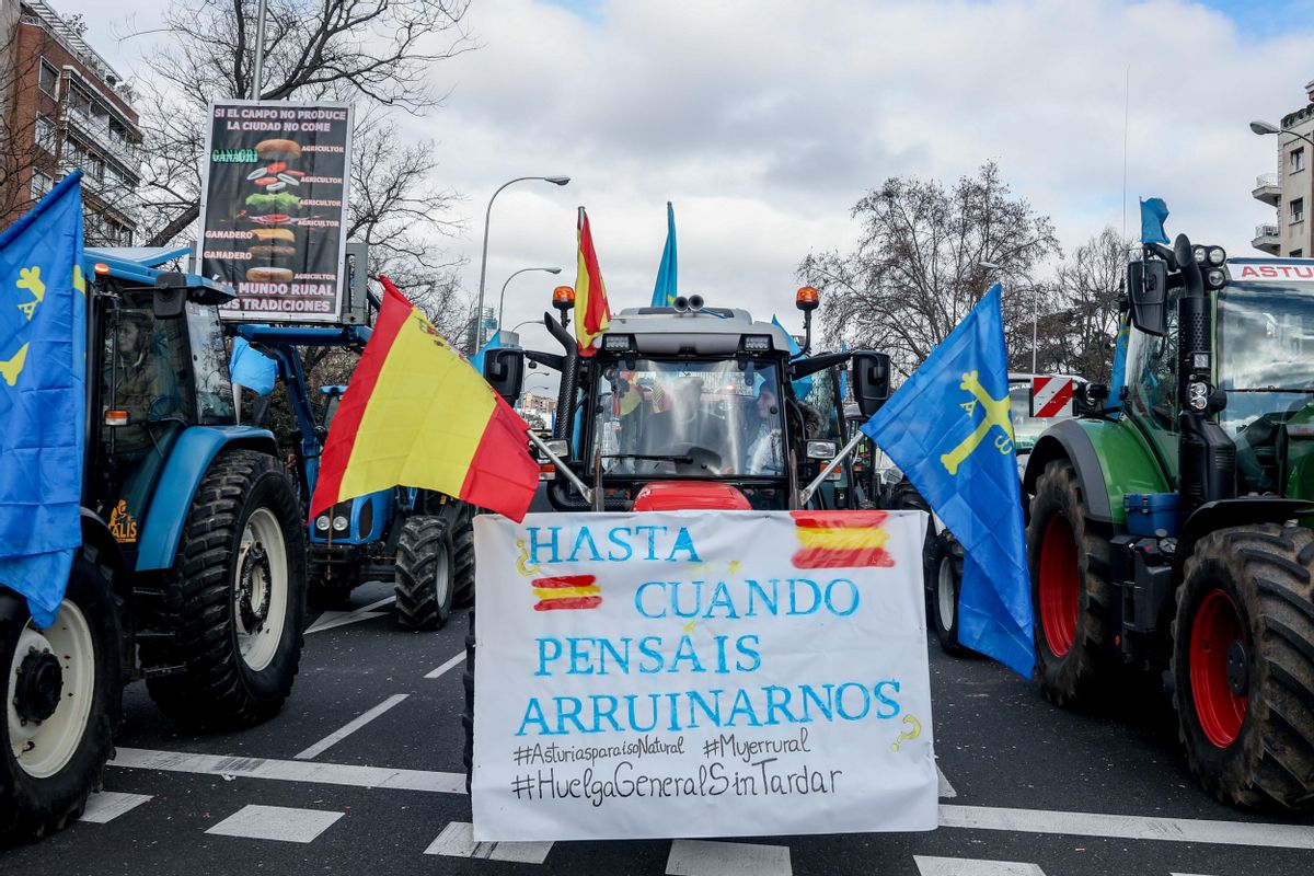 Banderas de Asturias durante la concentración ganadera en Madrid.