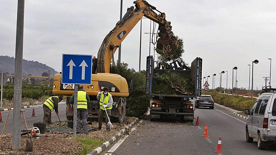 Operarios retirando la vegetación con maquinaria. | PERALES IBORRA