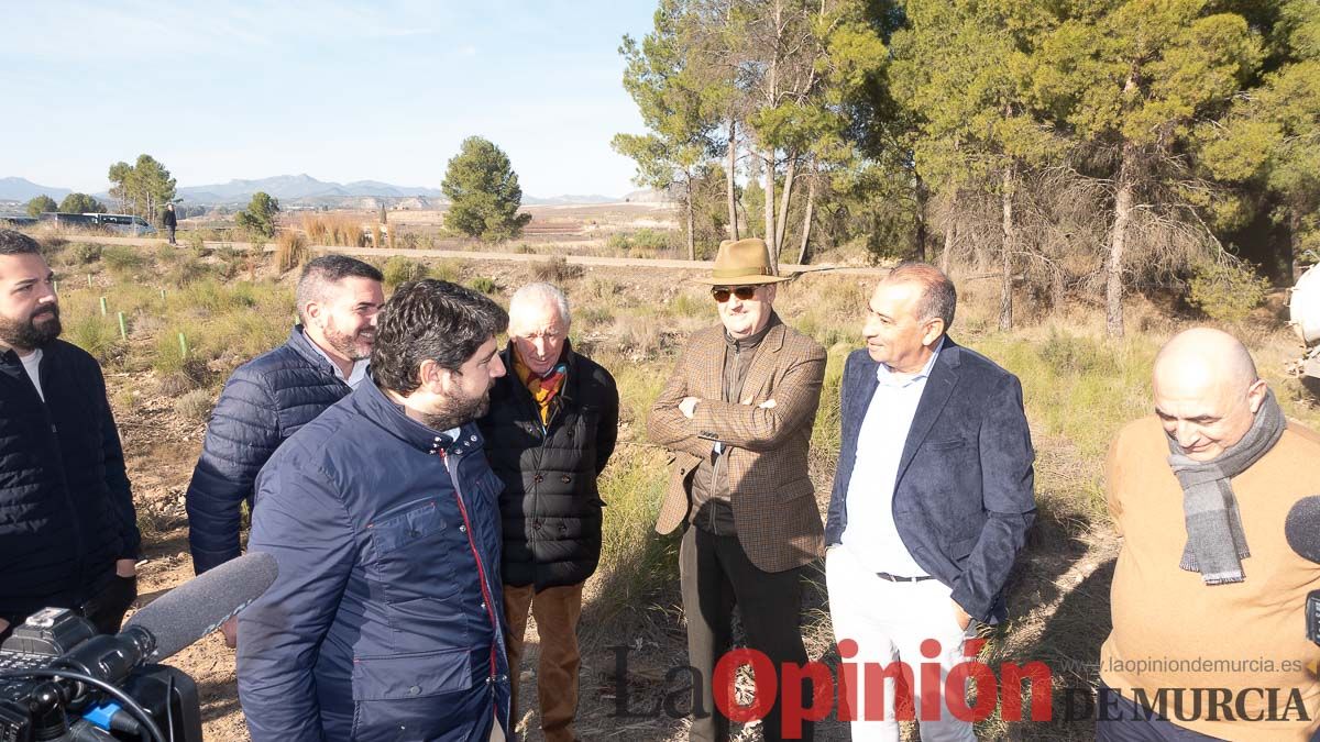 Bosque Disfrimur