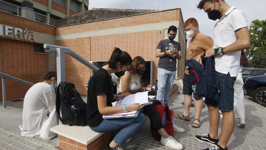 Estudiantes repasan antes del examen de Selectividad en la Facultad de Medicina de Córdoba.