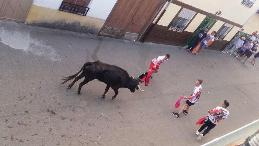 Encierro urbano sin incidentes en Carbajales