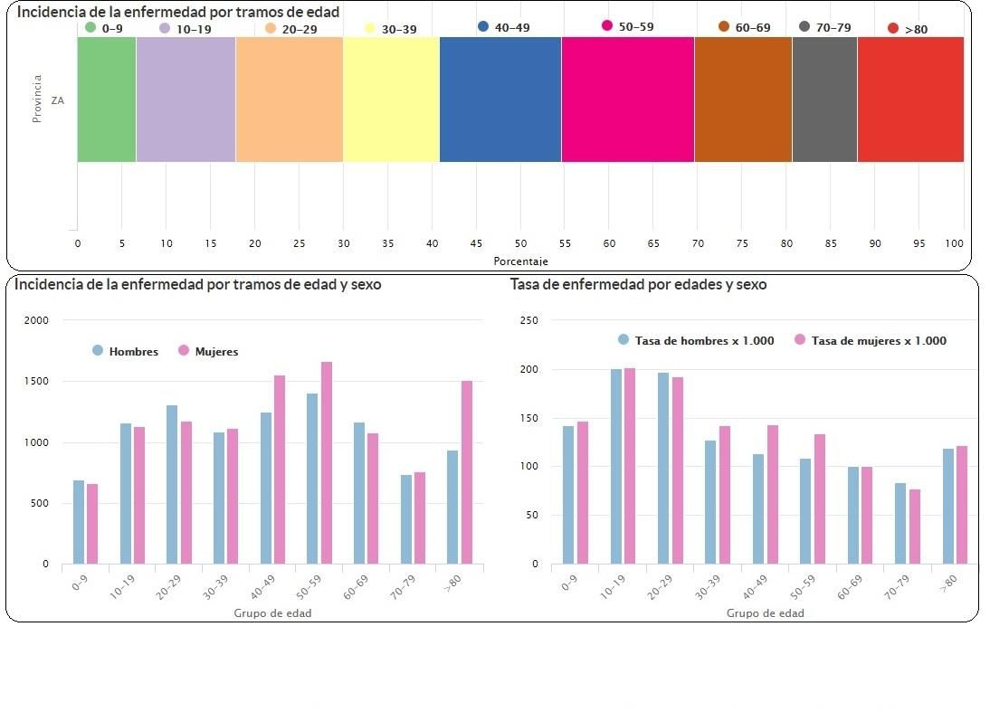 Contagios del coronavirus por edades durante la pandemia en Zamora