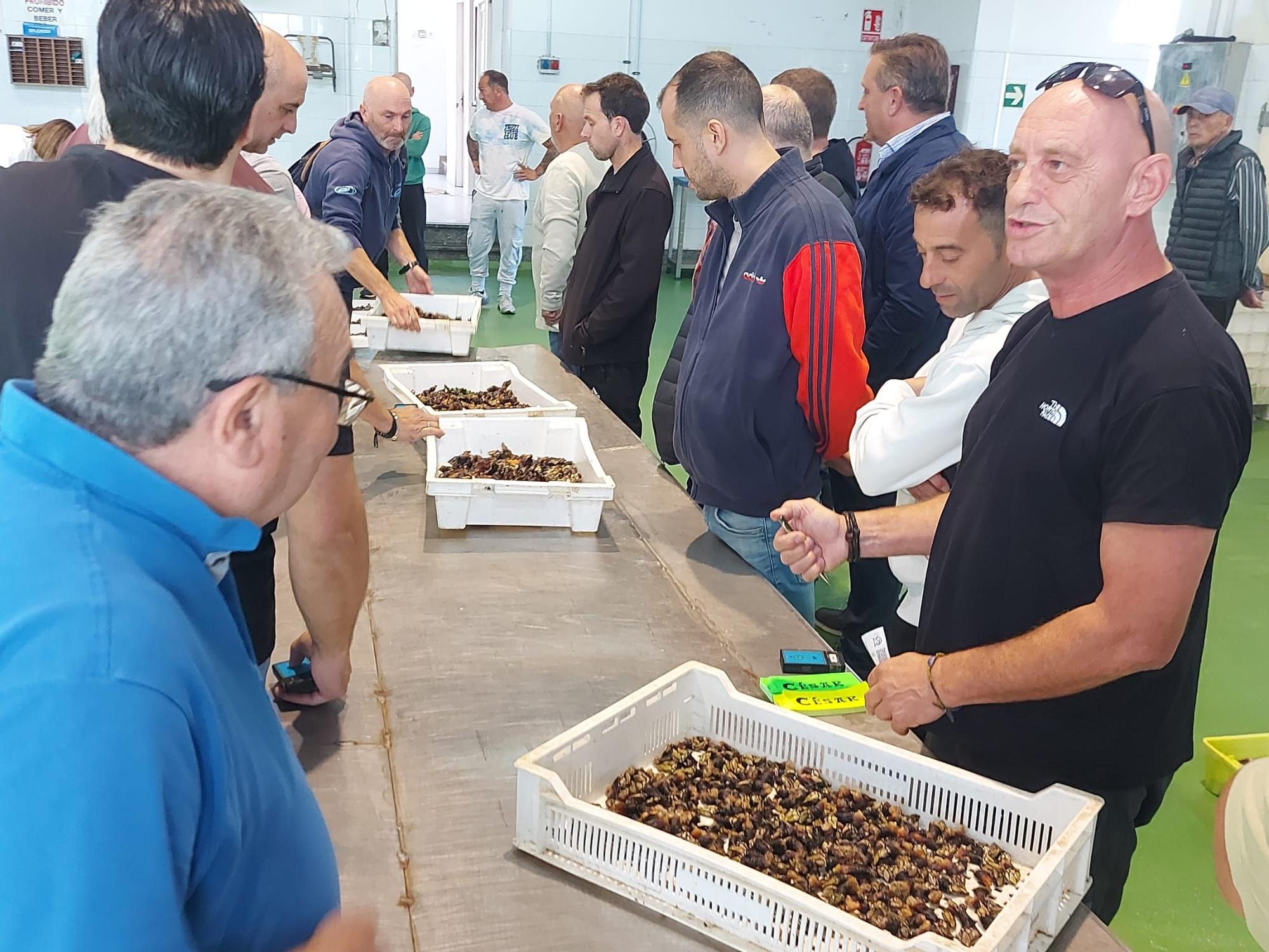 En imágenes: La primera subasta de percebe de la temporada en la rula de Puerto de Vega