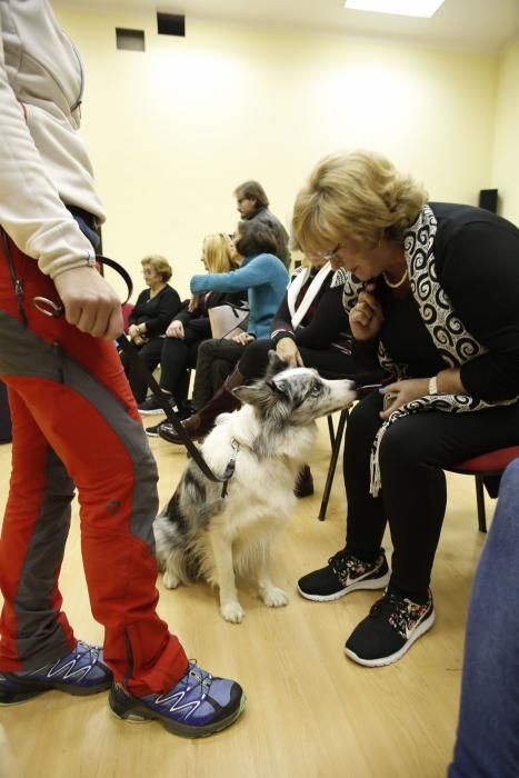 Taller de terapia con perros en el centro de mayores de Las Meanas, Avilés