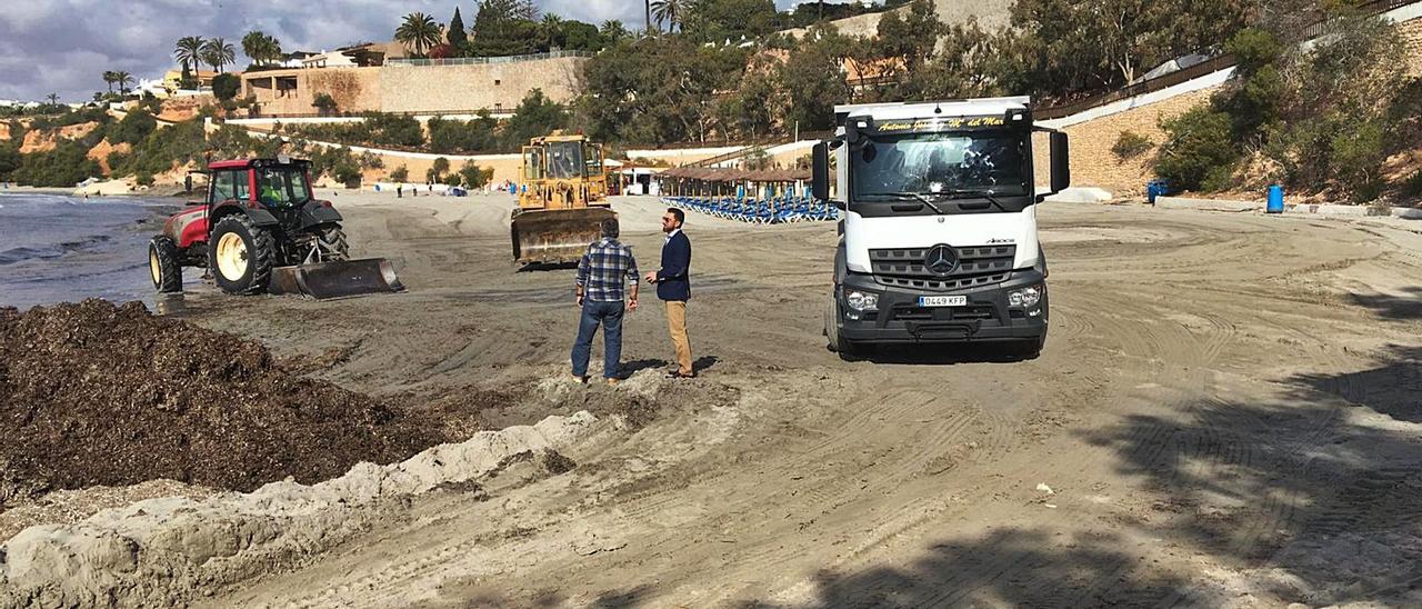 Los restos de Posidonia oceánica quedan apilados en las playas y se dejan secar durante el invierno por el beneficio para la arena.