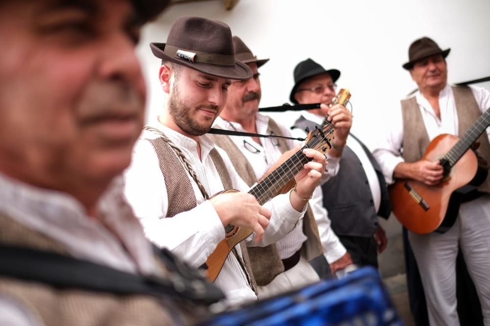 Romería de Tegueste, mayo de 2019