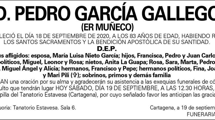 D. Pedro García Gallego