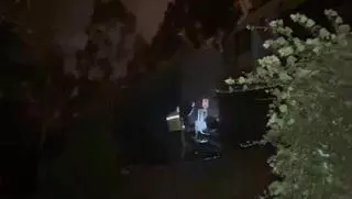 Corte en la vía del tren de mercancías en A Barcala por un árbol desplomado