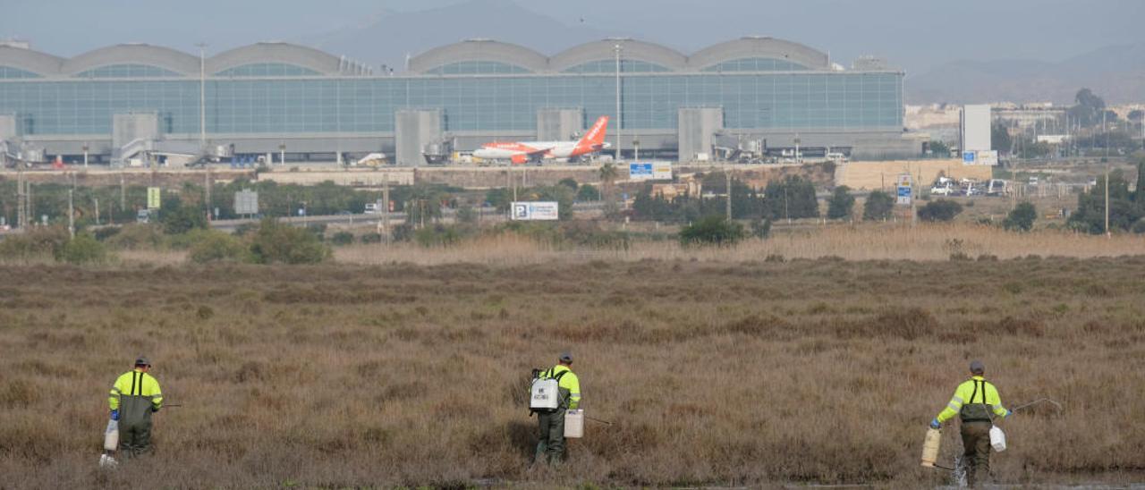 Un grupo de técnicos de la empresa Lokímica fumigando anteayer el saladar. Al fondo el aeropuerto, cuya segunda pista invadiría la zona húmeda.