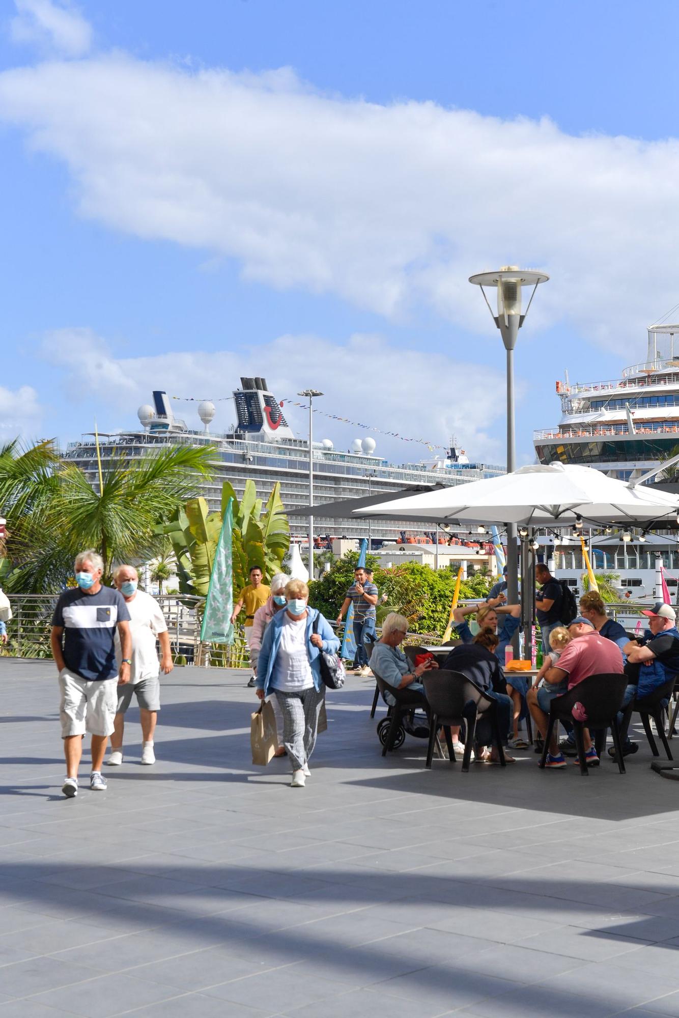 Cruceros en el Puerto de Las Palmas (07/11/2021)