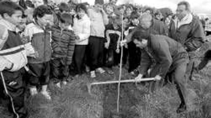 Políticos y escolares plantan 300 árboles en el parque del Príncipe