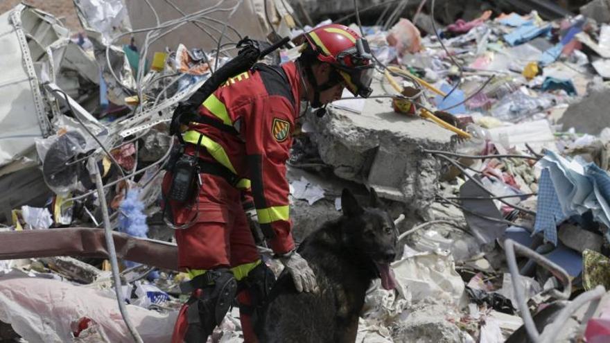 Un perro buscando supervivientes entre los escombros.