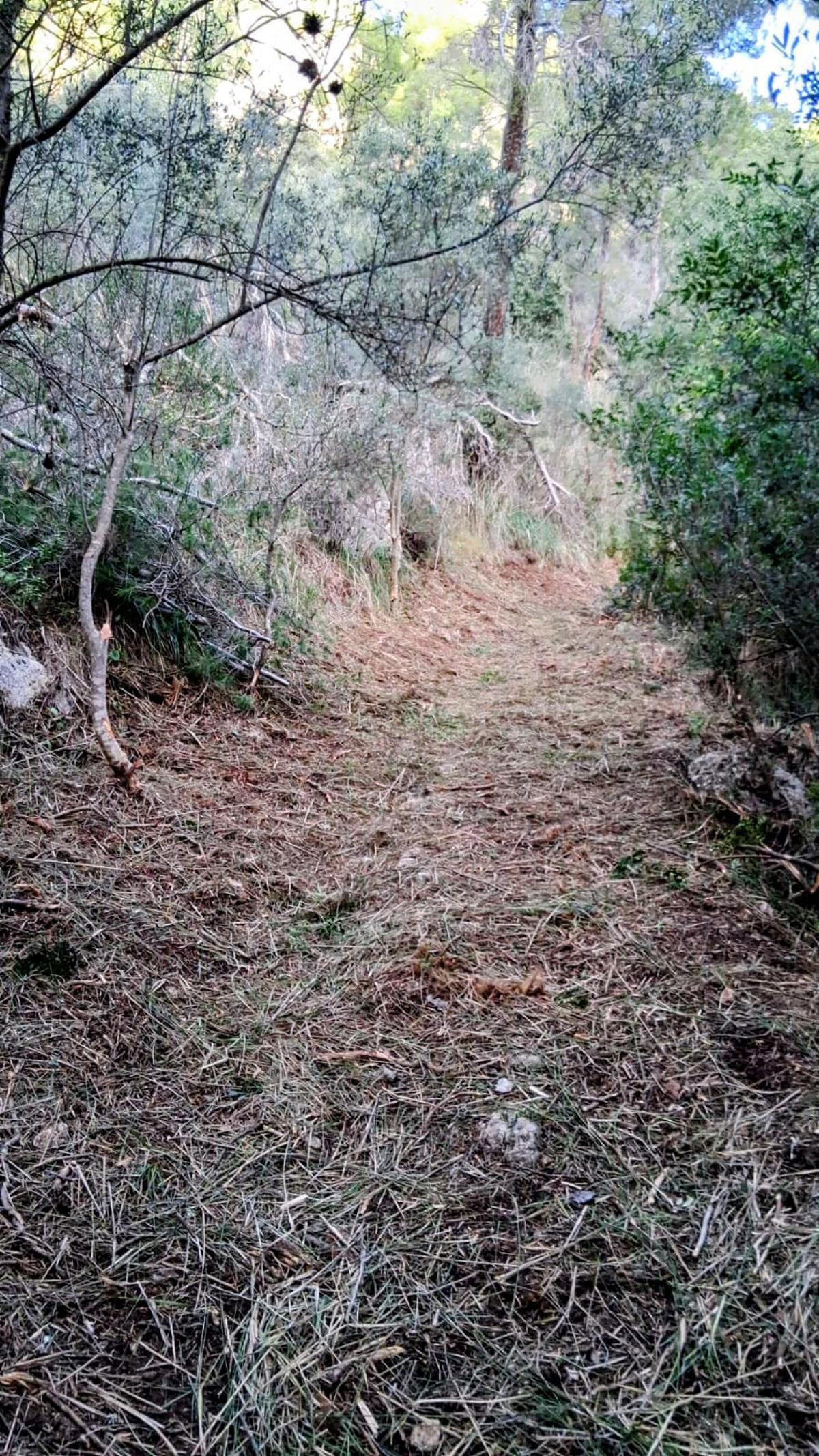 Uno de los caminos de Bunyola.
