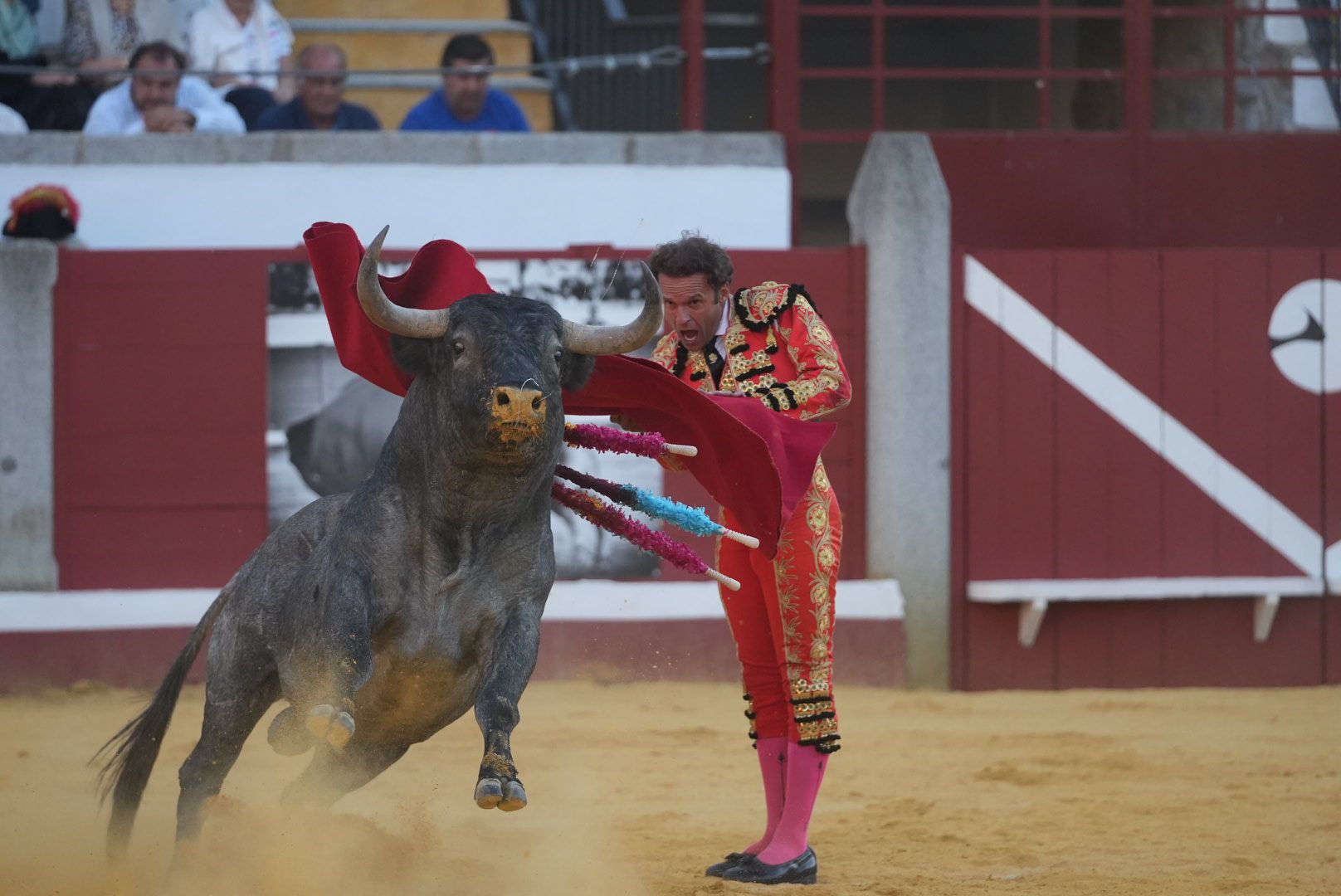 Compromiso torero frente a un gran encierro de Adolfo en Pozoblanco