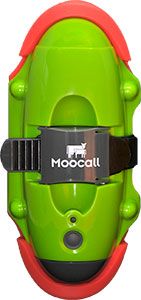 El sensor de &quot;Moocall&quot; que permite avisar del parto de la vaca