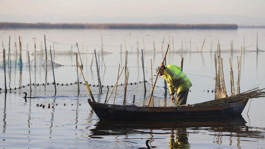  de València aprueba ayudas de hasta 5.000 euros para los pescadores de València