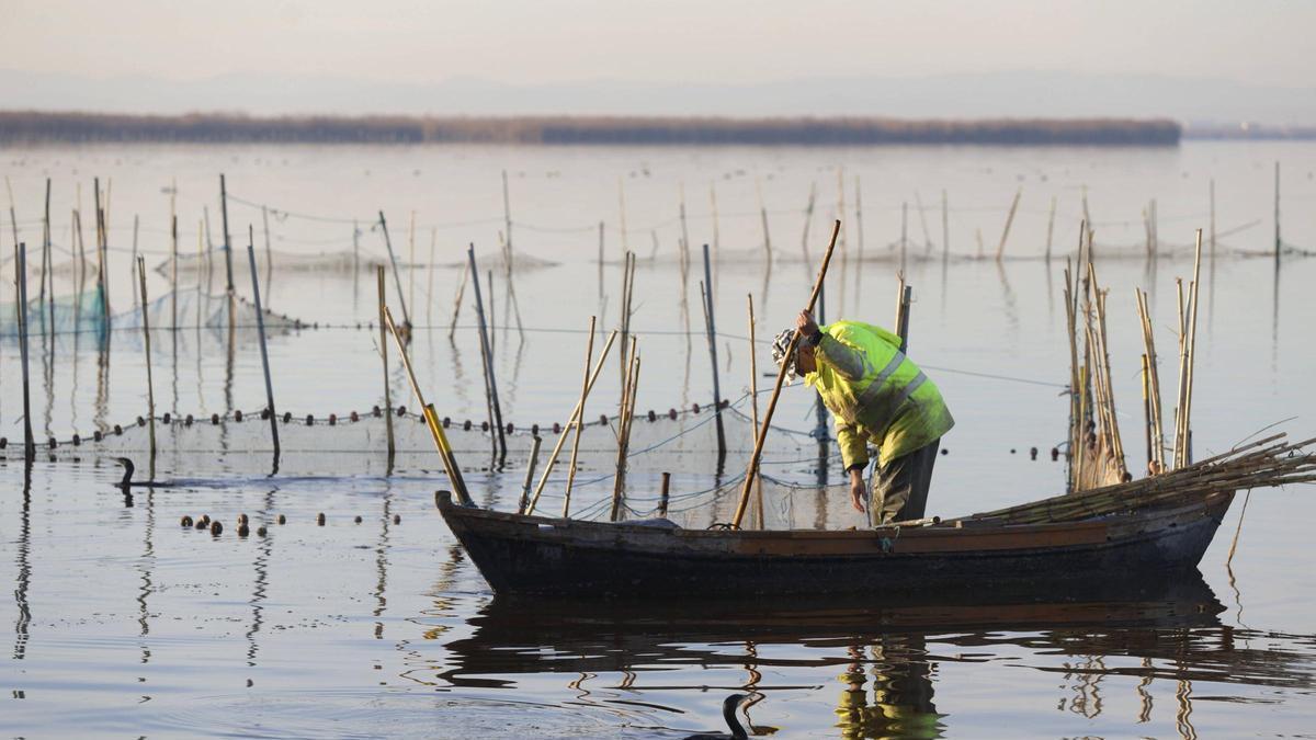 Los pescadores de l'Albufera podrán beneficiarse de estas nuevas ayudas.
