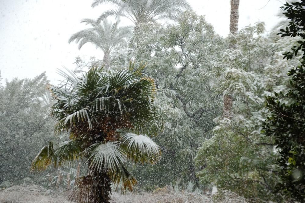 Nieve en Vistabella