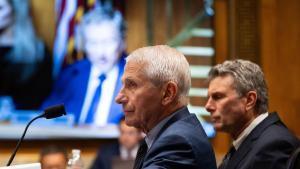 El exdirector del Instituto Nacional de Alergias y Enfermedades Infecciosas estadounidense Anthony Fauci ante una comisión en el Senado