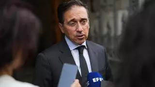 España pedirá este lunes a la UE la suspensión "inmediata" del acuerdo de asociación con Israel