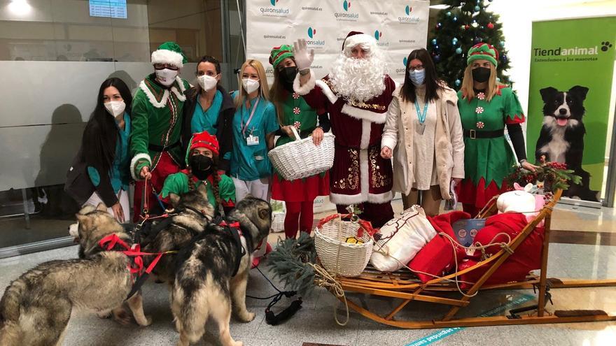 Quirónsalud Málaga recibe la visita de Papá Noel en trineo guiado por sus perros
